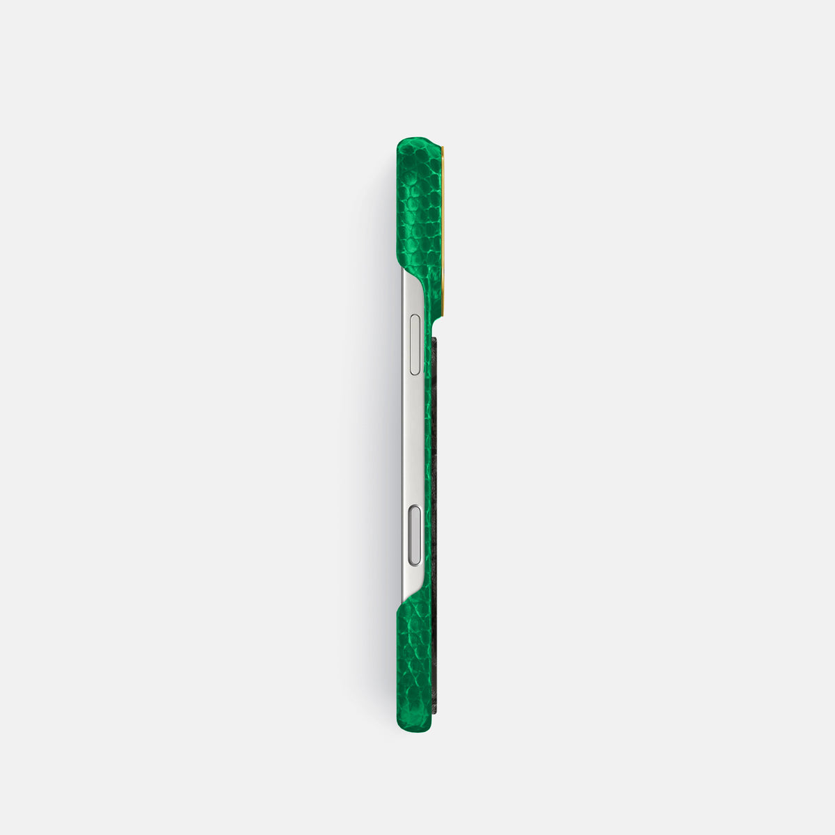 Classic Case With Carbon Dragon For iPhone 17 Pro In Lizard -3 | Apple-Green-Gold