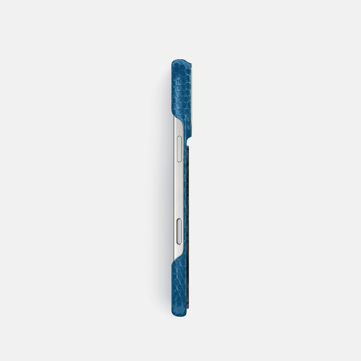 Classic Case With Carbon Dragon For iPhone 17 Pro In Lizard -3 | Blue-Gold
