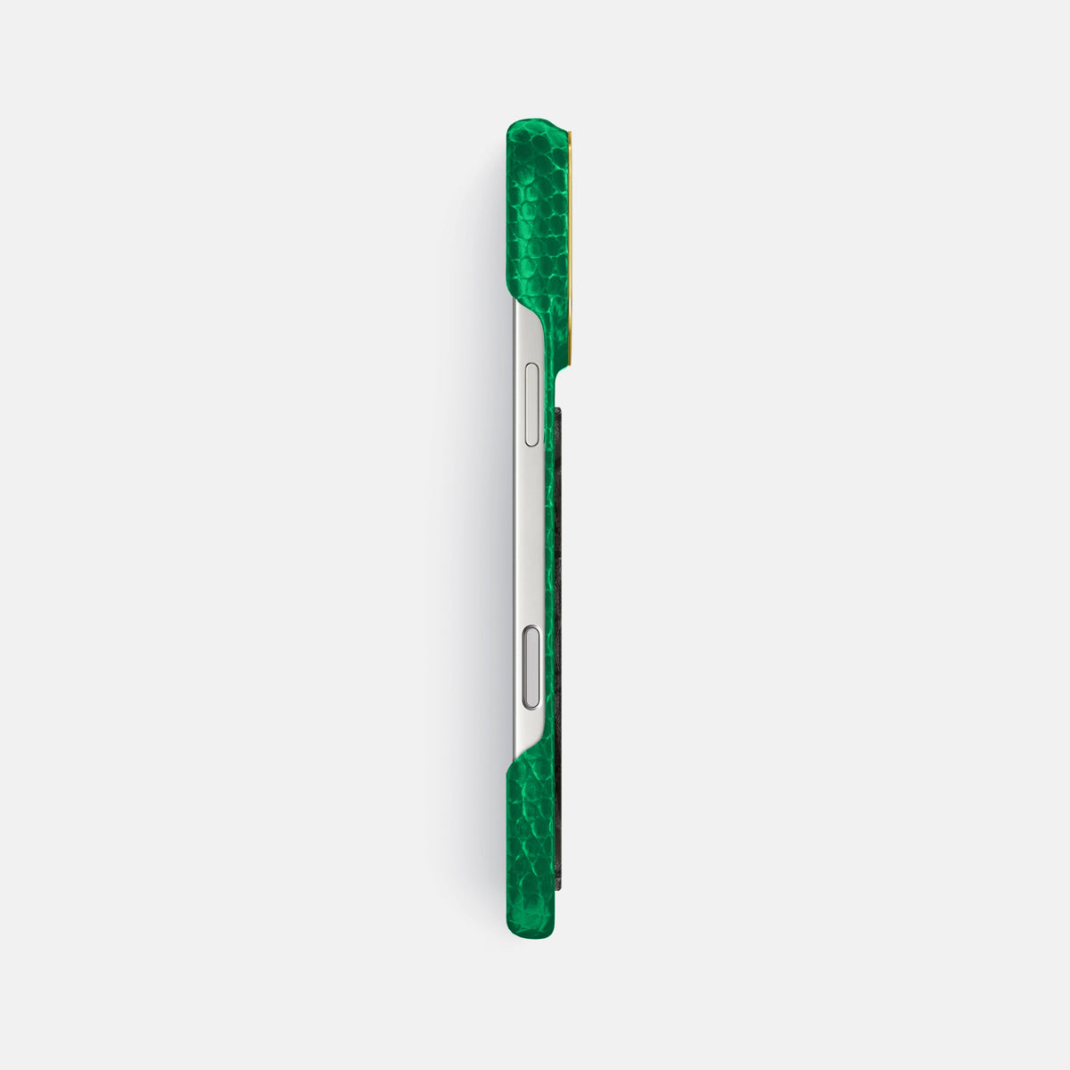 Classic Case With Carbon Dragon For iPhone 17 Pro Max In Lizard -3 | Apple-Green-Gold