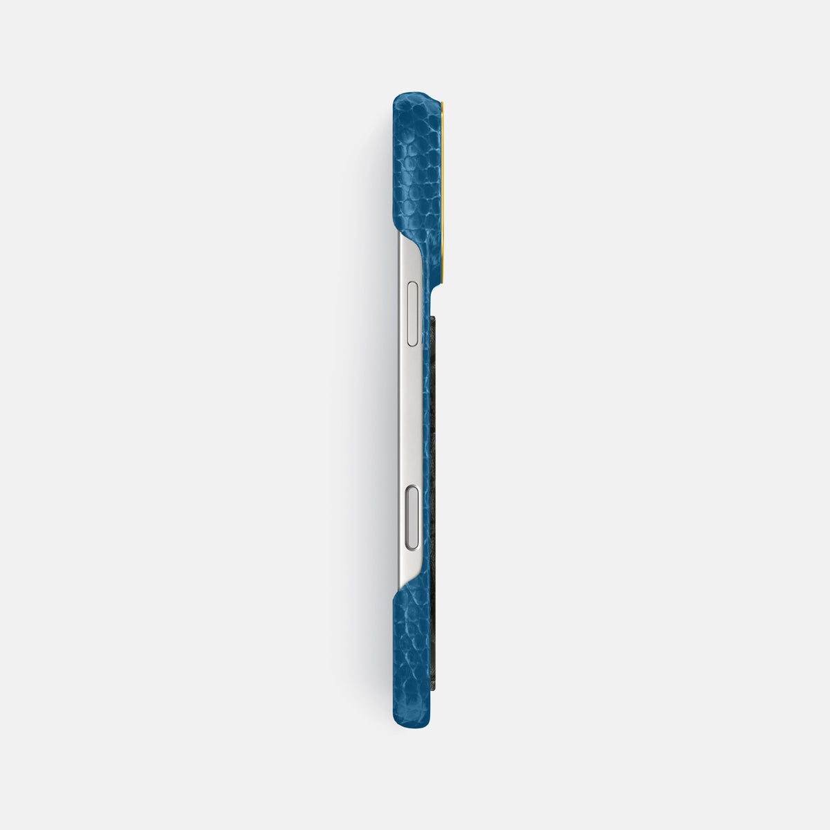 Classic Case With Carbon Dragon For iPhone 17 Pro Max In Lizard -3 | Blue-Gold