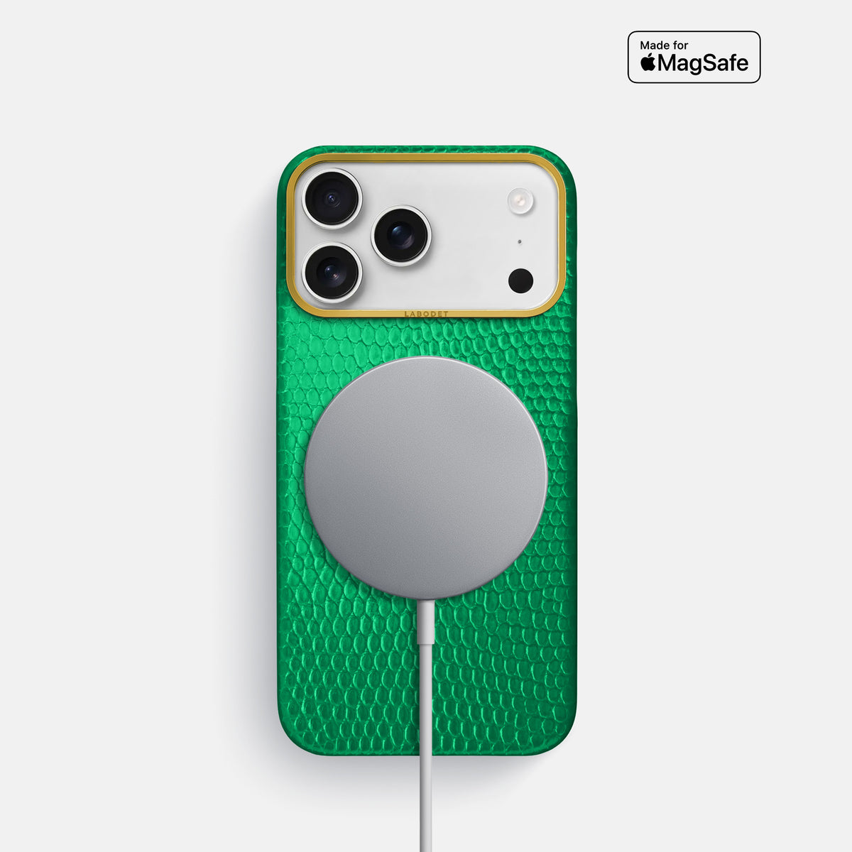 Classic Case For iPhone 17 Pro In Lizard -5 | Apple-Green-Gold