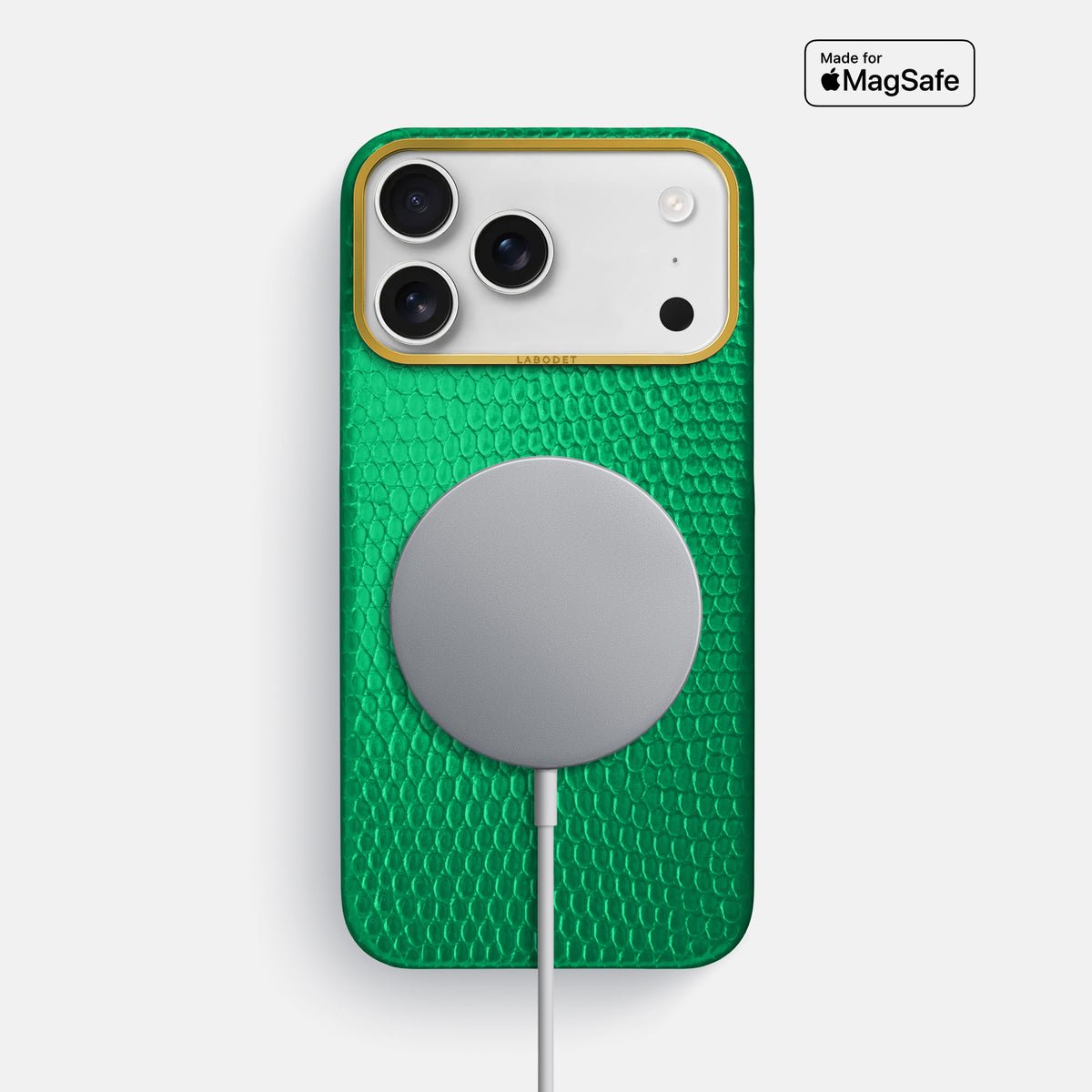 Classic Case For iPhone 17 Pro Max In Lizard -5 | Apple-Green-Gold