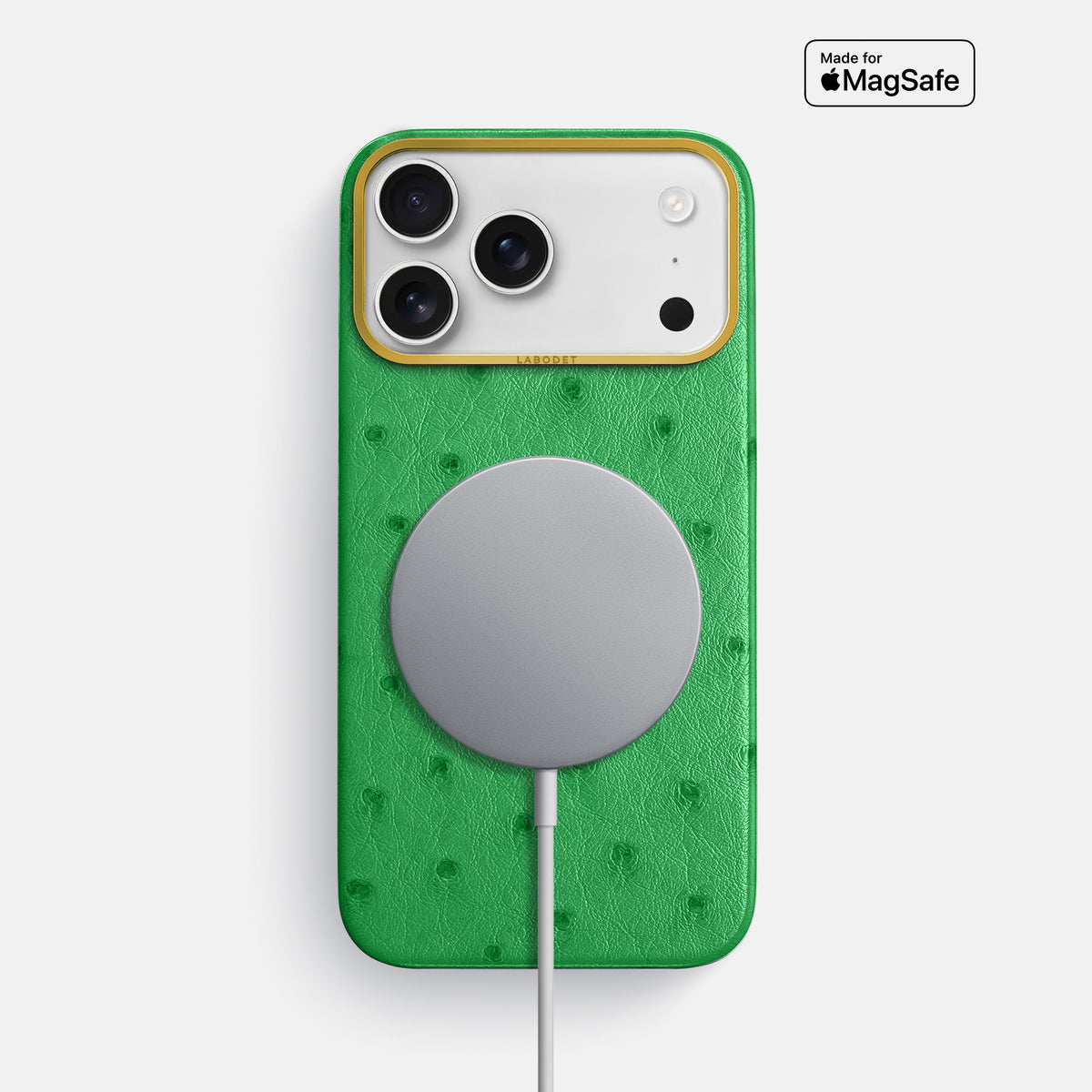 Classic Case For iPhone 17 Pro Max In Ostrich -5 | Kentucky-Green-Gold