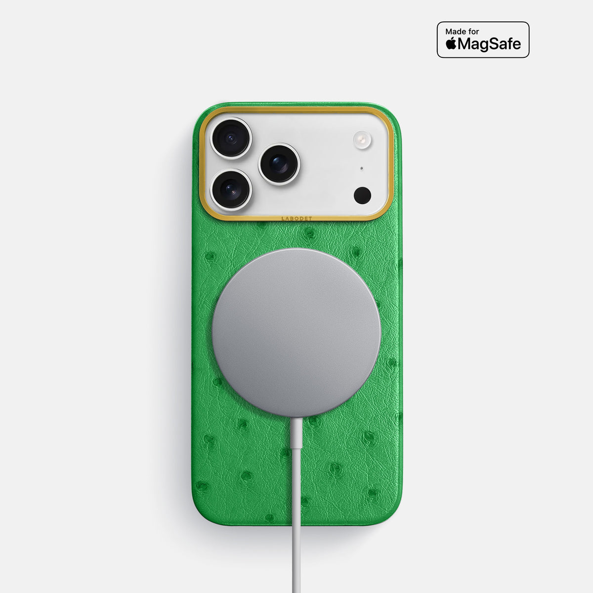 Classic Case For iPhone 17 Pro In Ostrich -5 | Kentucky-Green-Gold