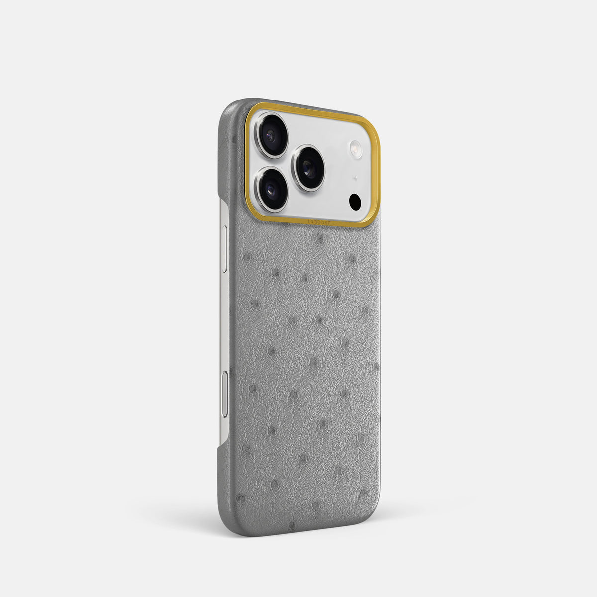 Classic Case For iPhone 17 Pro In Ostrich -2 | Silver-Gold