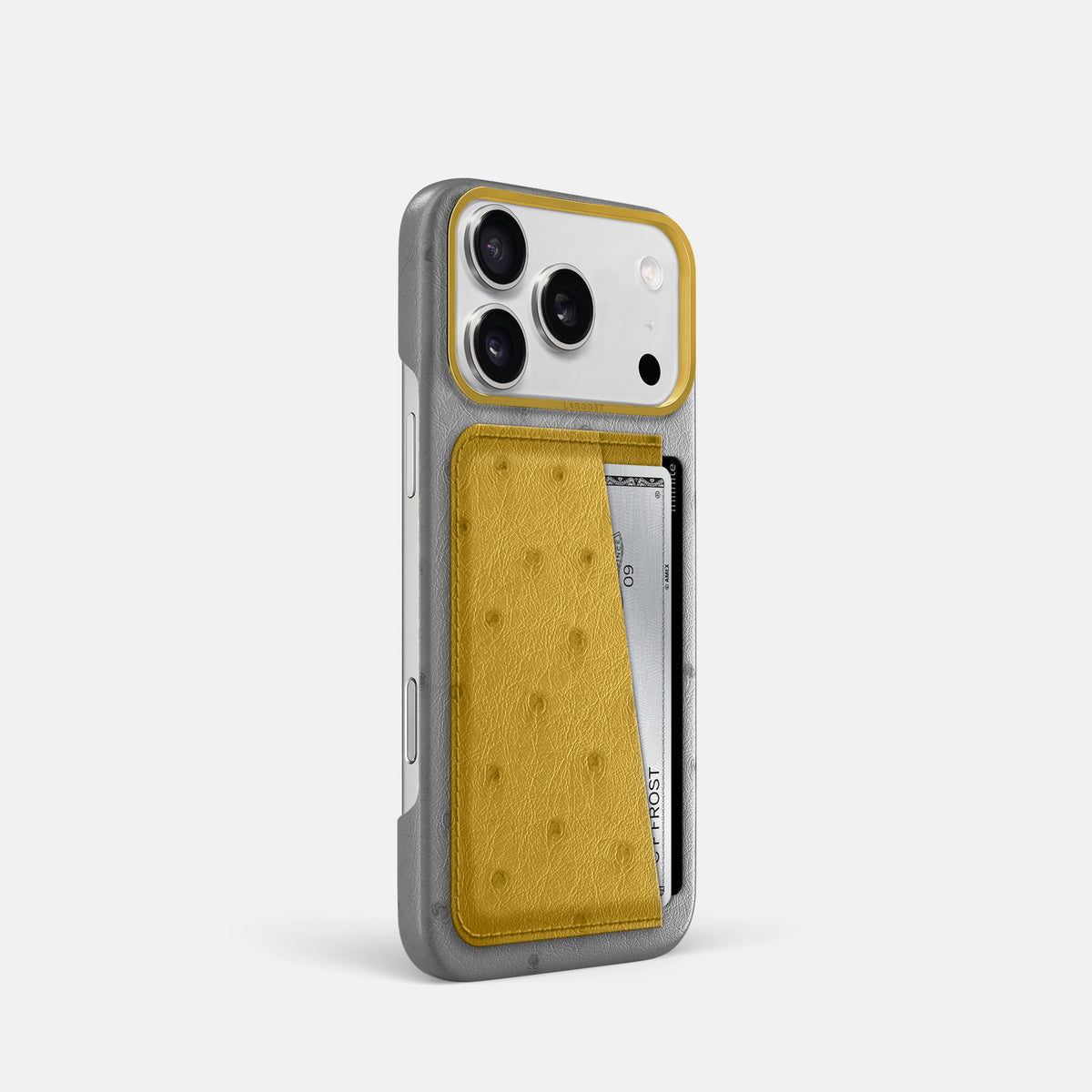 Double Card Case Coloré For iPhone 17 Pro In Ostrich -2 | Silver-Gold