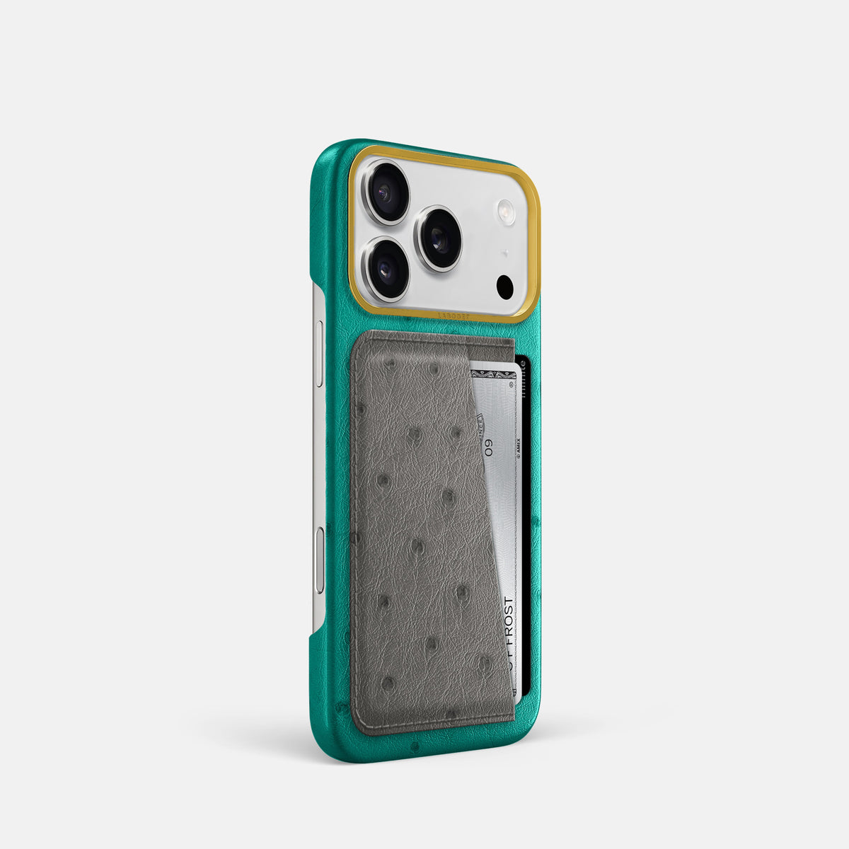 Double Card Case Coloré For iPhone 17 Pro In Ostrich -2 | Turquoise-Gold