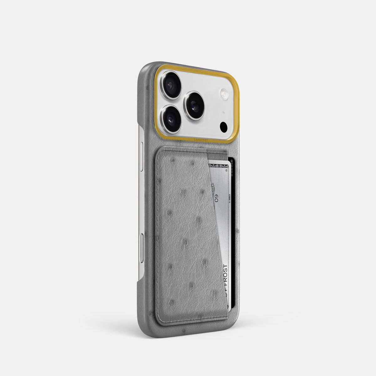 Double Card Case For iPhone 18 Pro In Ostrich -2 | Silver-Gold