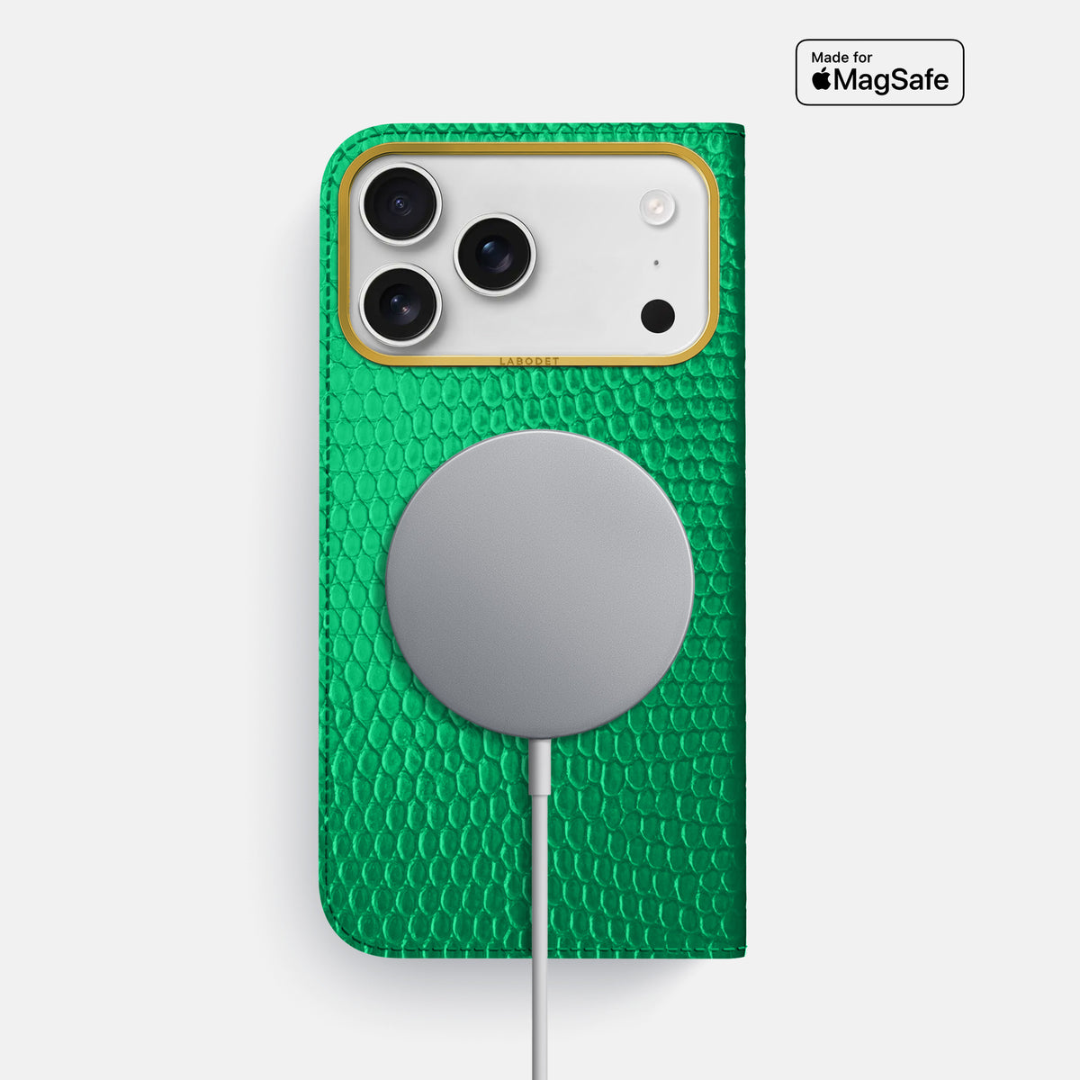 Folio Case For iPhone 17 Pro Max In Lizard -3 | Apple-Green-Gold