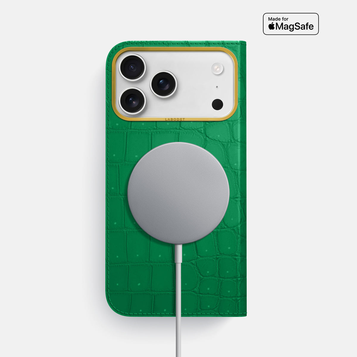 Folio Case For iPhone 17 Pro Max In Porosus Crocodile -3 | Cactus-Green-Gold