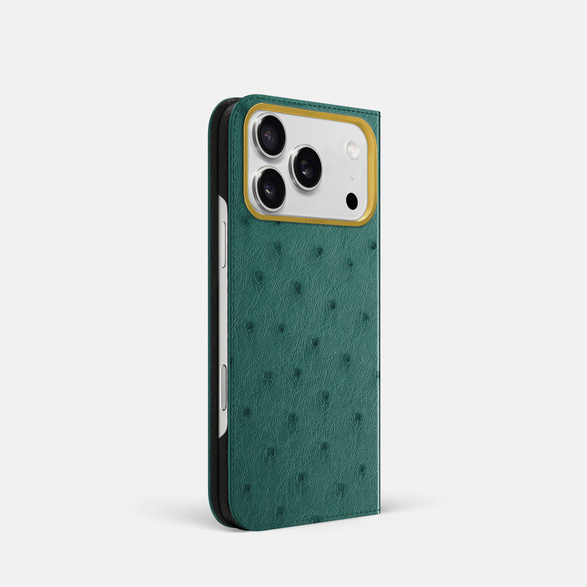 Folio Case For iPhone 17 Pro In Ostrich -1 | Forest-Green-Gold
