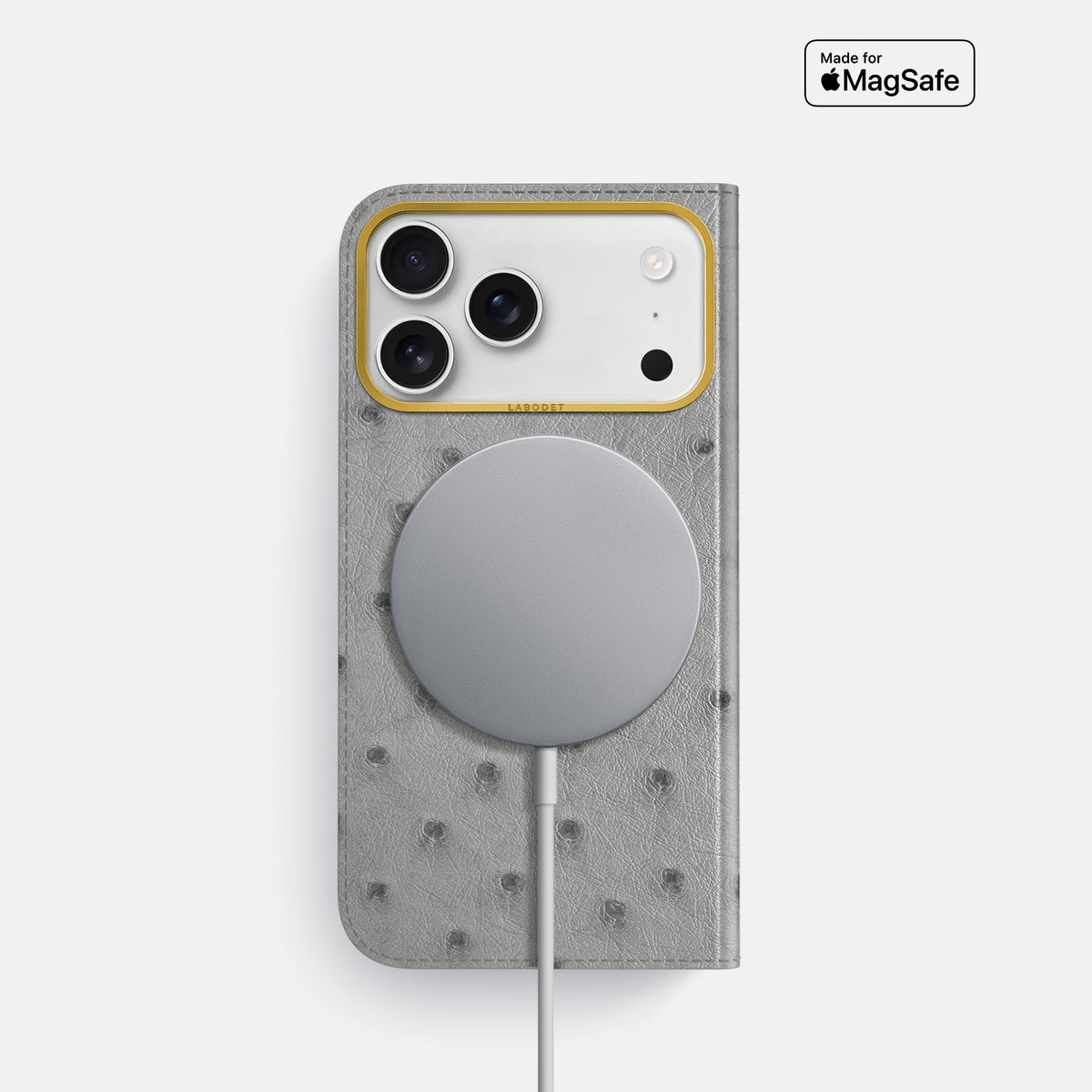 Folio Case For iPhone 17 Pro In Ostrich -3 | Silver-Gold