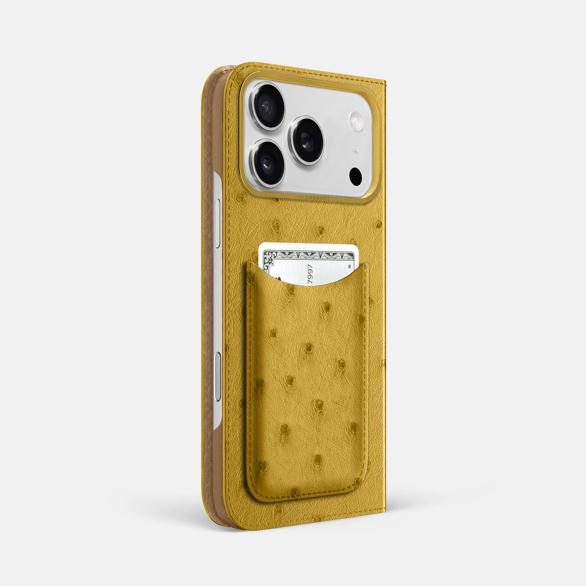 Folio Case with Card For iPhone 17 Pro Max In Ostrich -1 | Gold-Gold