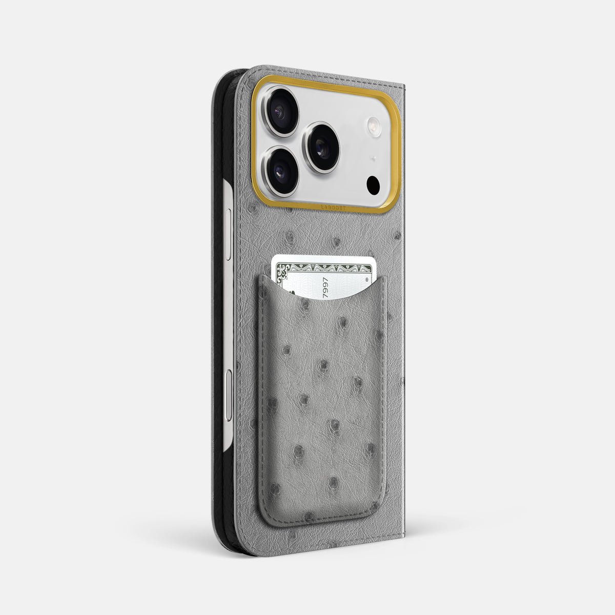 Folio Case with Card For iPhone 17 Pro Max In Ostrich -1 | Silver-Gold