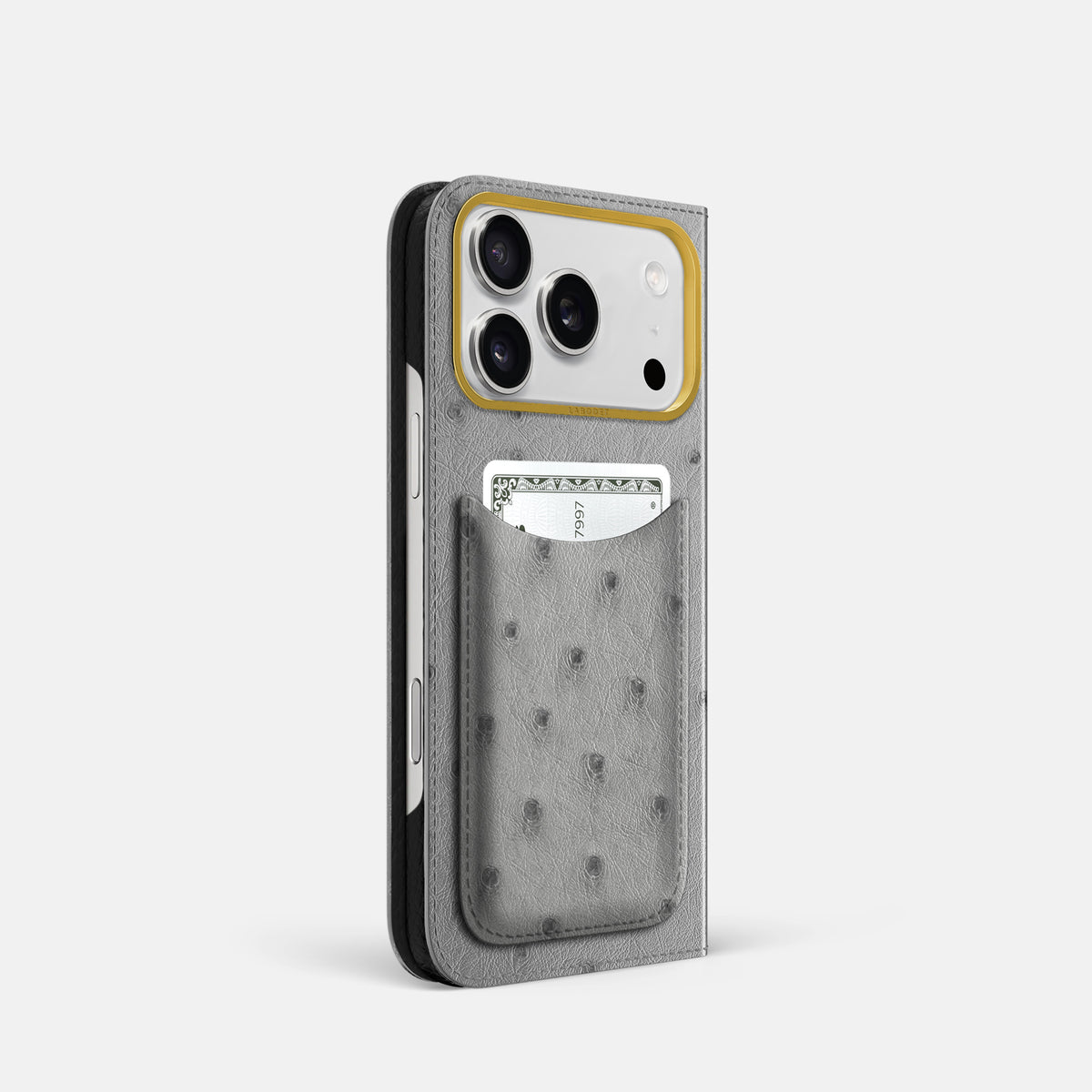 Folio Case with Card For iPhone 17 Pro In Ostrich -1 | Silver-Gold
