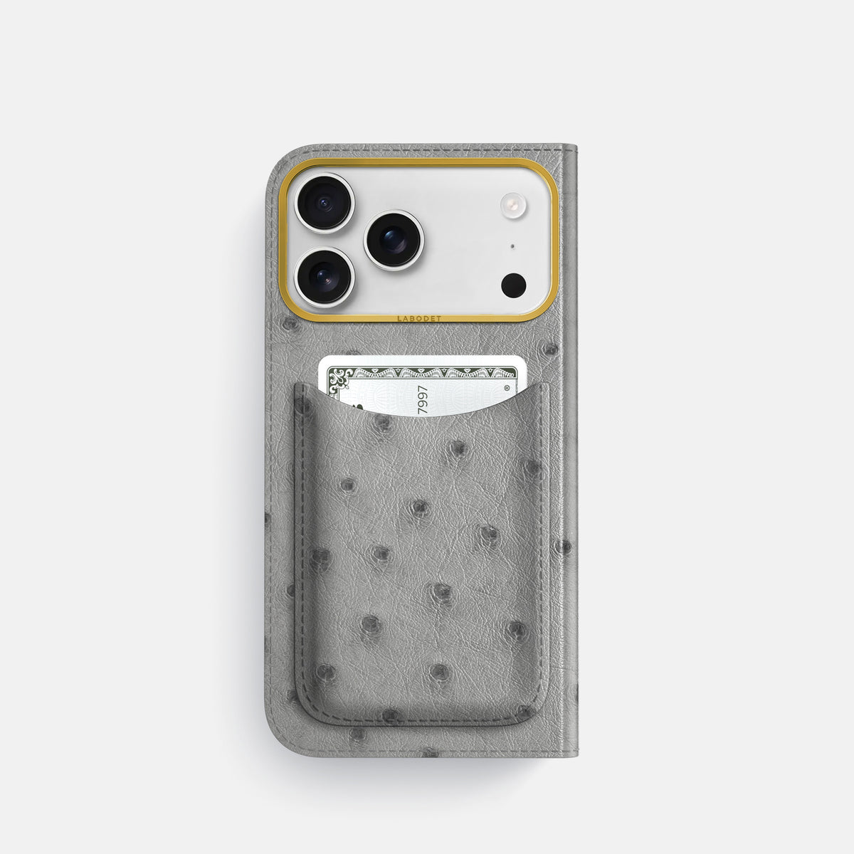 Folio Case with Card For iPhone 17 Pro In Ostrich -3 | Silver-Gold