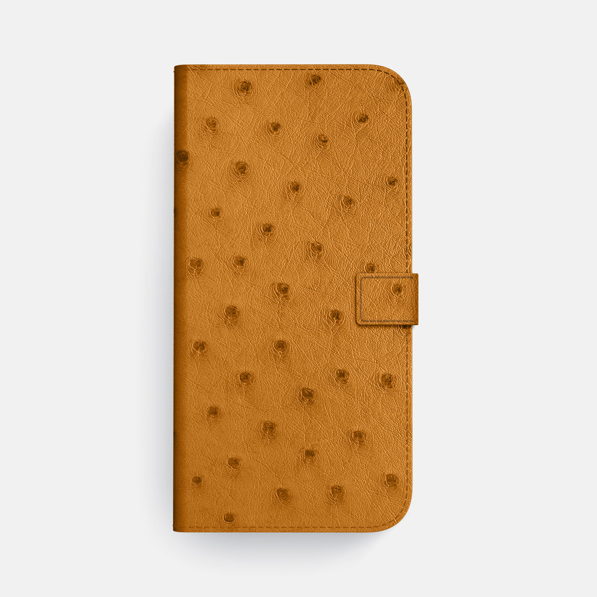 Folio Case with Clasp For iPhone 17 Pro Max In Ostrich -4 | Chestnut-Gold