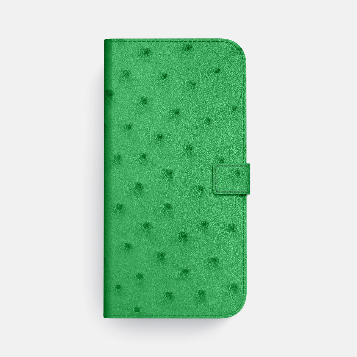 Folio Case with Clasp For iPhone 17 Pro Max In Ostrich -4 | Kentucky-Green-Gold