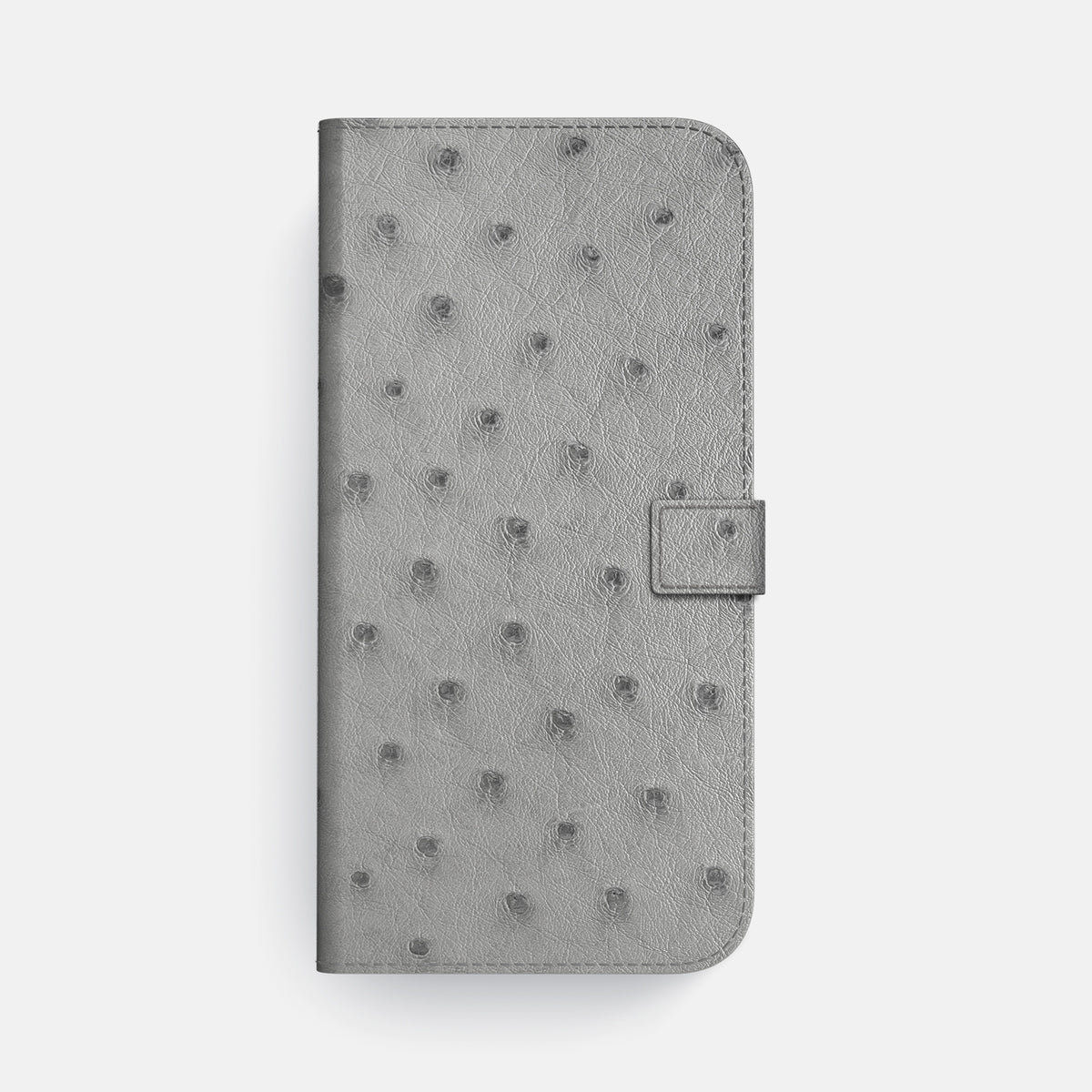 Folio Case with Clasp For iPhone 17 Pro Max In Ostrich -4 | Silver-Gold