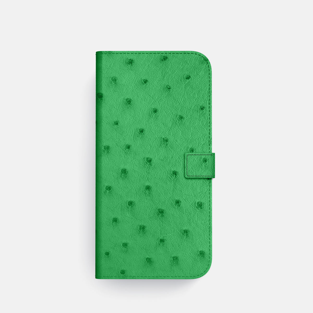 Folio Case with Clasp For iPhone 17 Pro In Ostrich -4 | Kentucky-Green-Gold