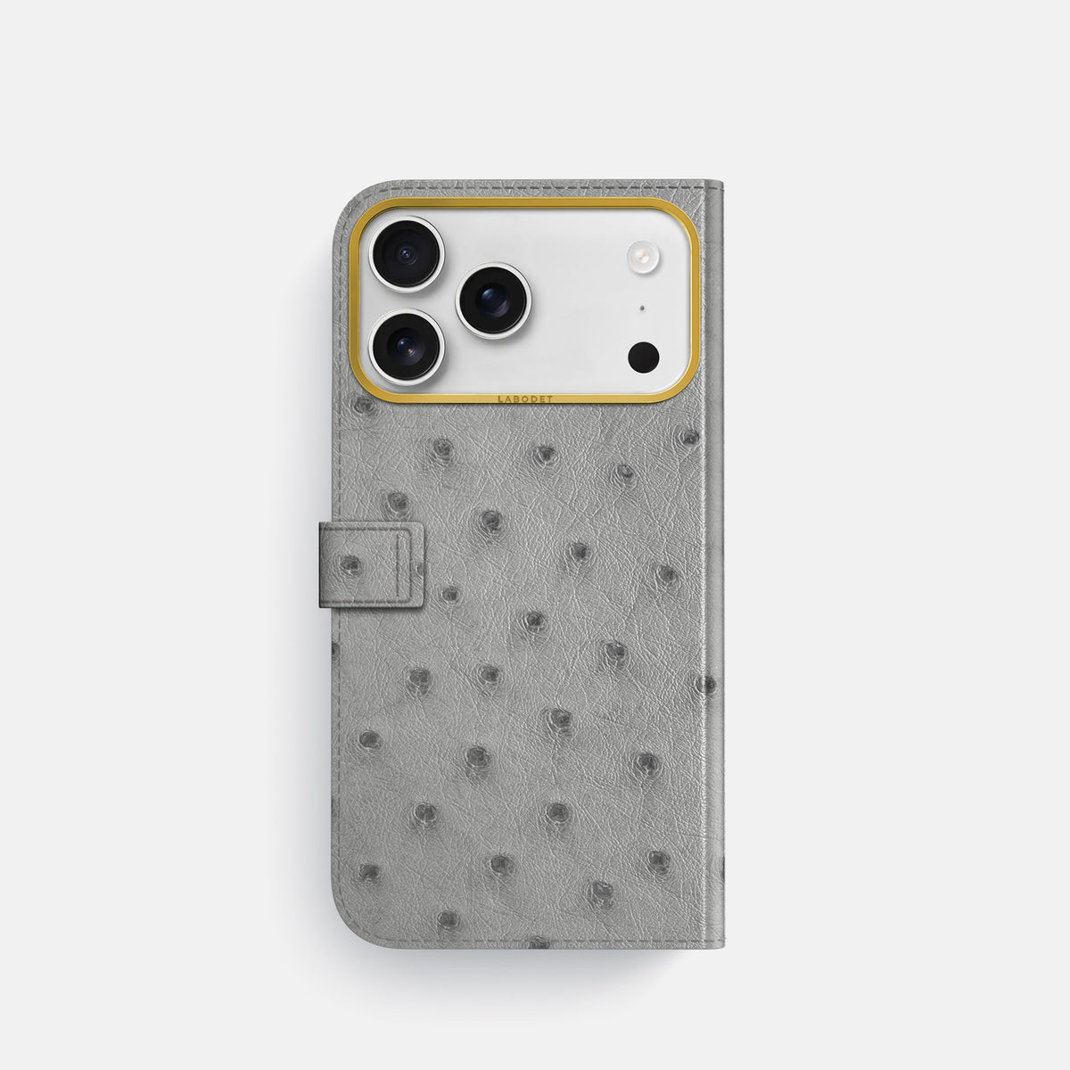 Folio Case with Clasp For iPhone 17 Pro In Ostrich -3 | Silver-Gold