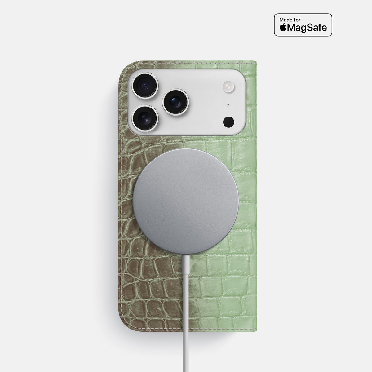 Pistachio iPhone 17 Pro Folio Case In Himalayan Crocodile -3 | Pistachio
