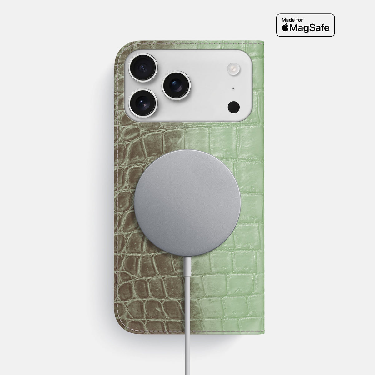 Folio Slim Case For iPhone 18 Pro Max In Himalayan Crocodile -3 | Pistachio