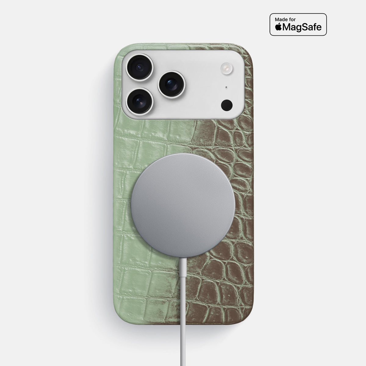 Slim Case For iPhone 18 Pro Max In Himalayan Crocodile -4 | Pistachio