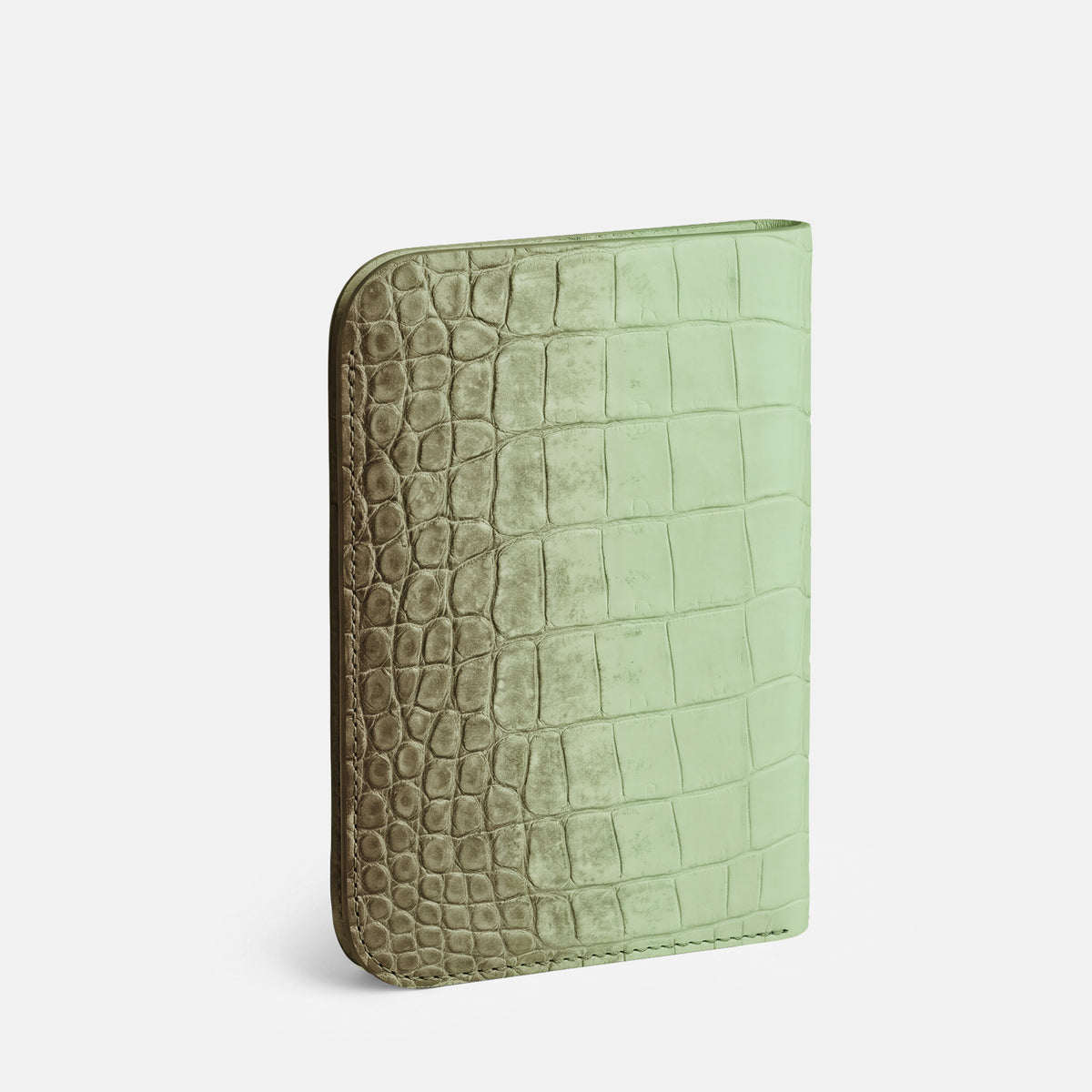 Tall Pouch Case For iPhone Duo In Himalayan Crocodile -2 | Pistachio