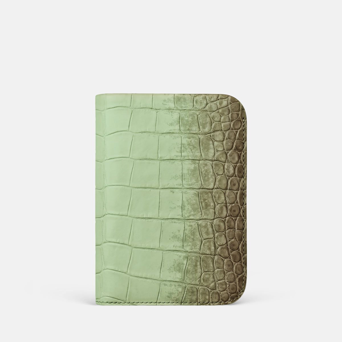 Tall Pouch Case For iPhone Duo In Himalayan Crocodile -3 | Pistachio