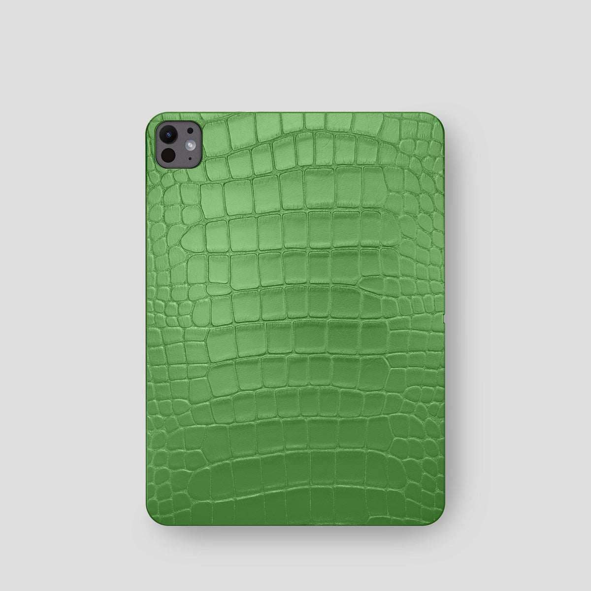 Apple-Green Case For iPad Pro 11-inch (5th gen) Alligator -2 | Apple-Green