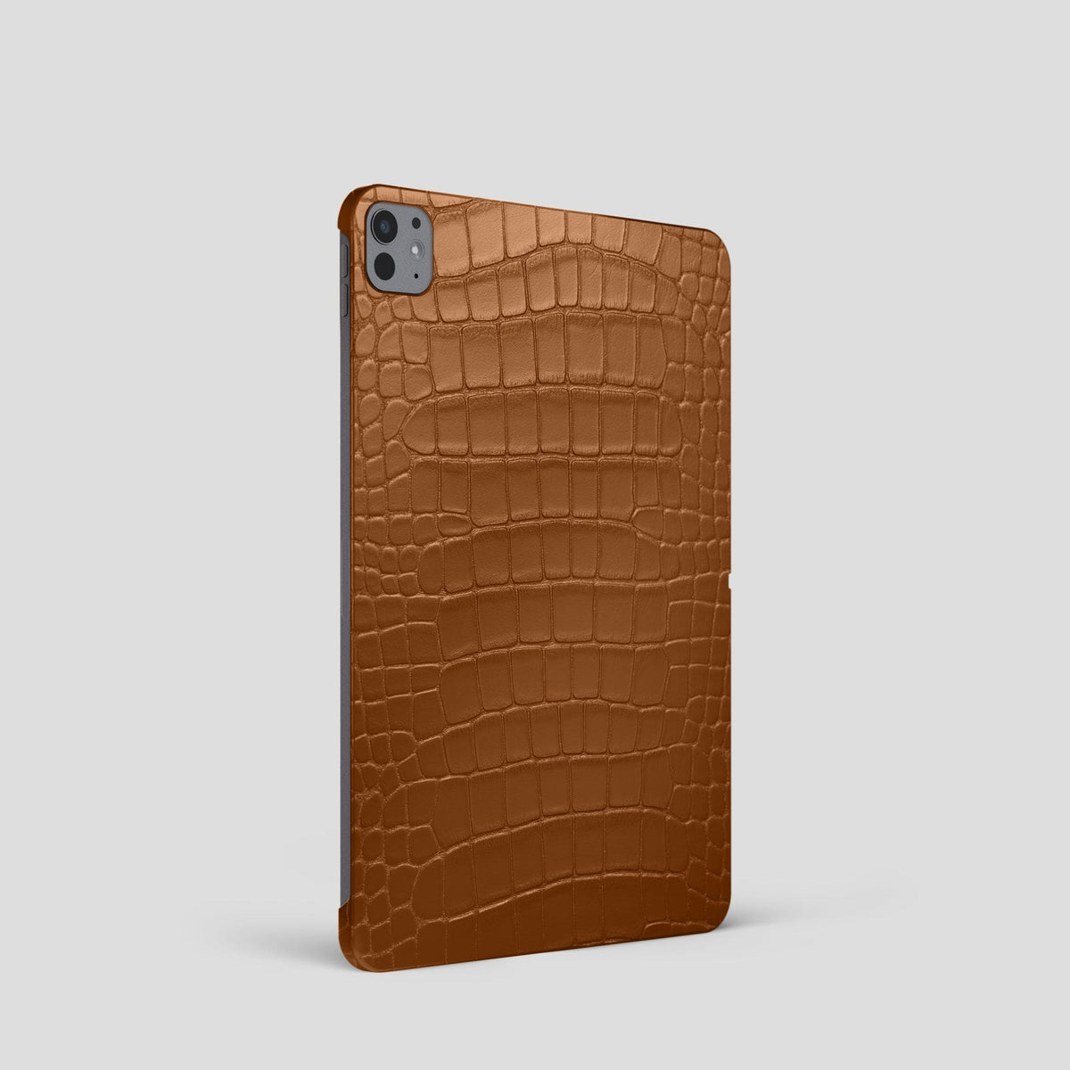 Honey Case For iPad Pro 11-inch (5th gen) Alligator -1 | Honey