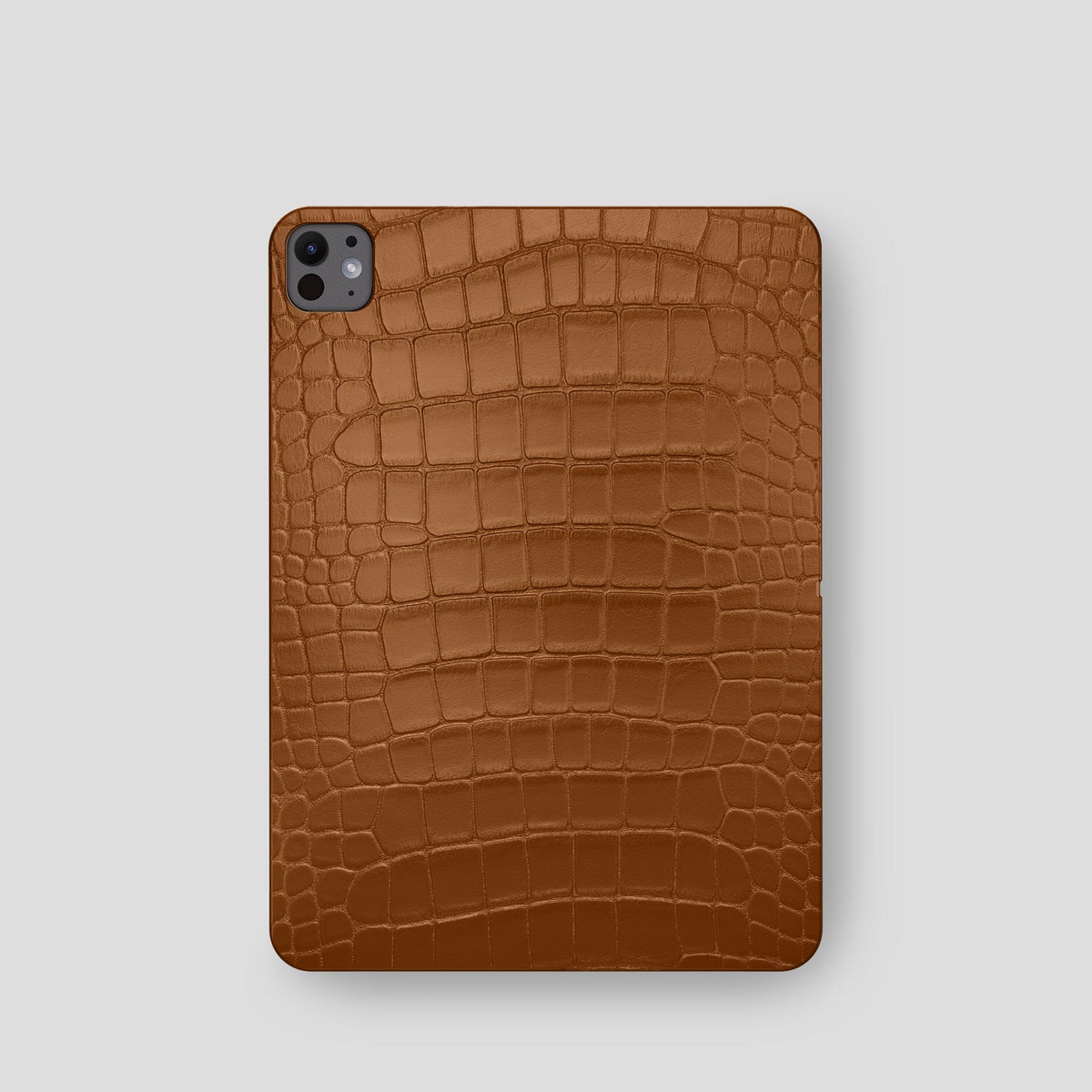 Honey Case For iPad Pro 11-inch (5th gen) Alligator -2 | Honey