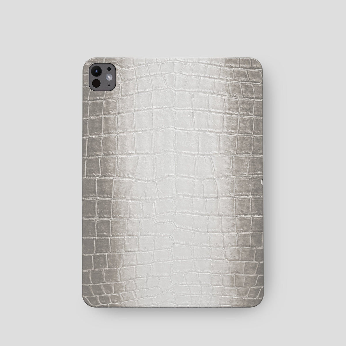 Grey iPad Pro 11-2024 Case Himalayan Crocodile  -2 | Grey