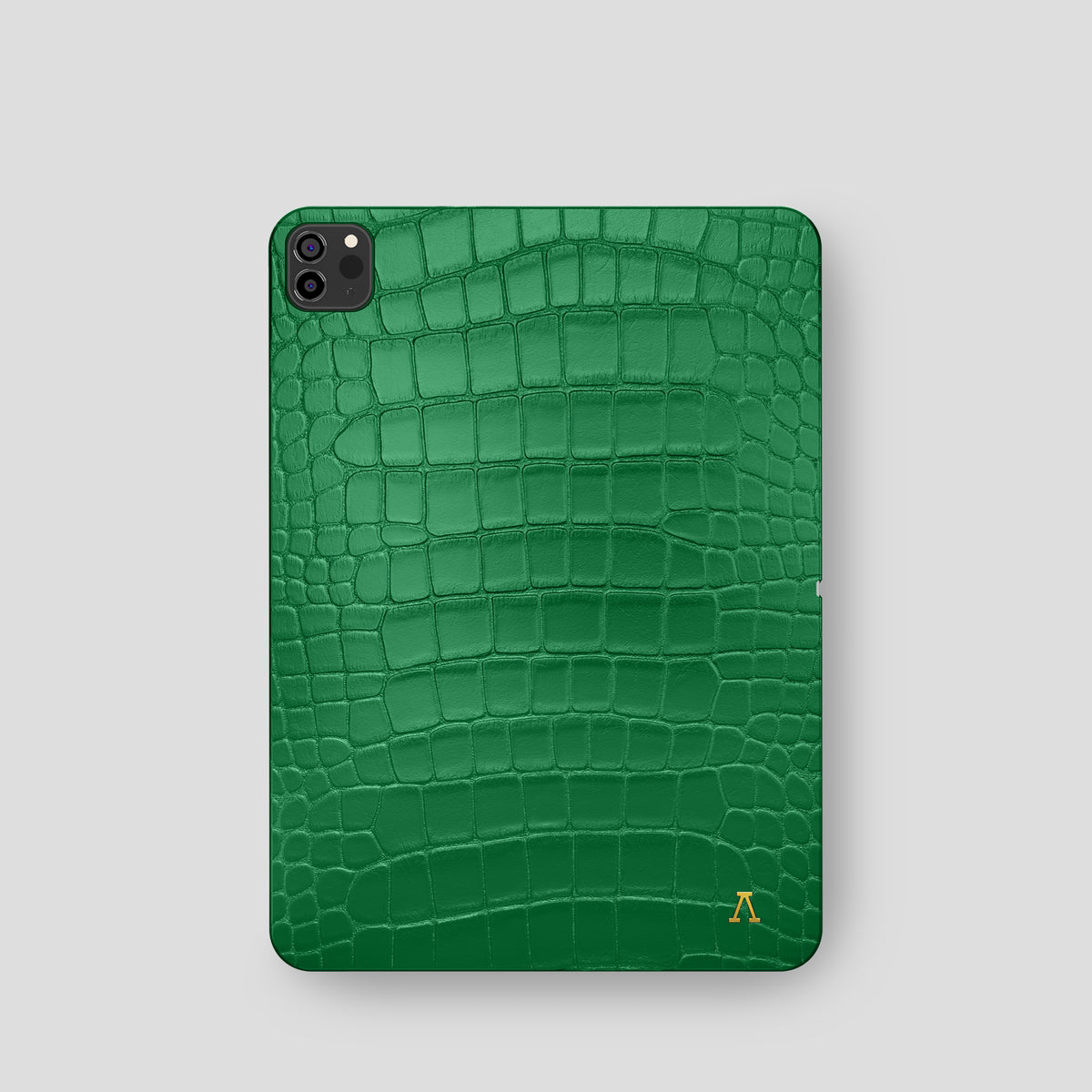 Forest-Green iPad Pro 11 Case In Alligator with Gold Metal -2 | Forest-Green-Gold