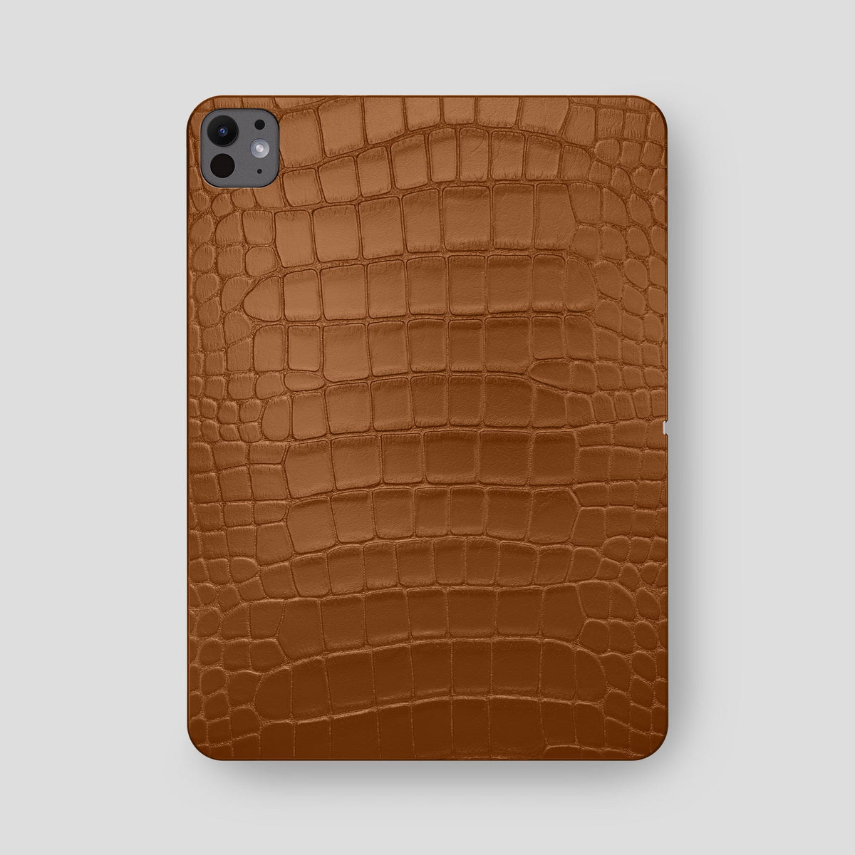 Honey Case For iPad Pro 13-inch (7th gen) Alligator -2 | Honey