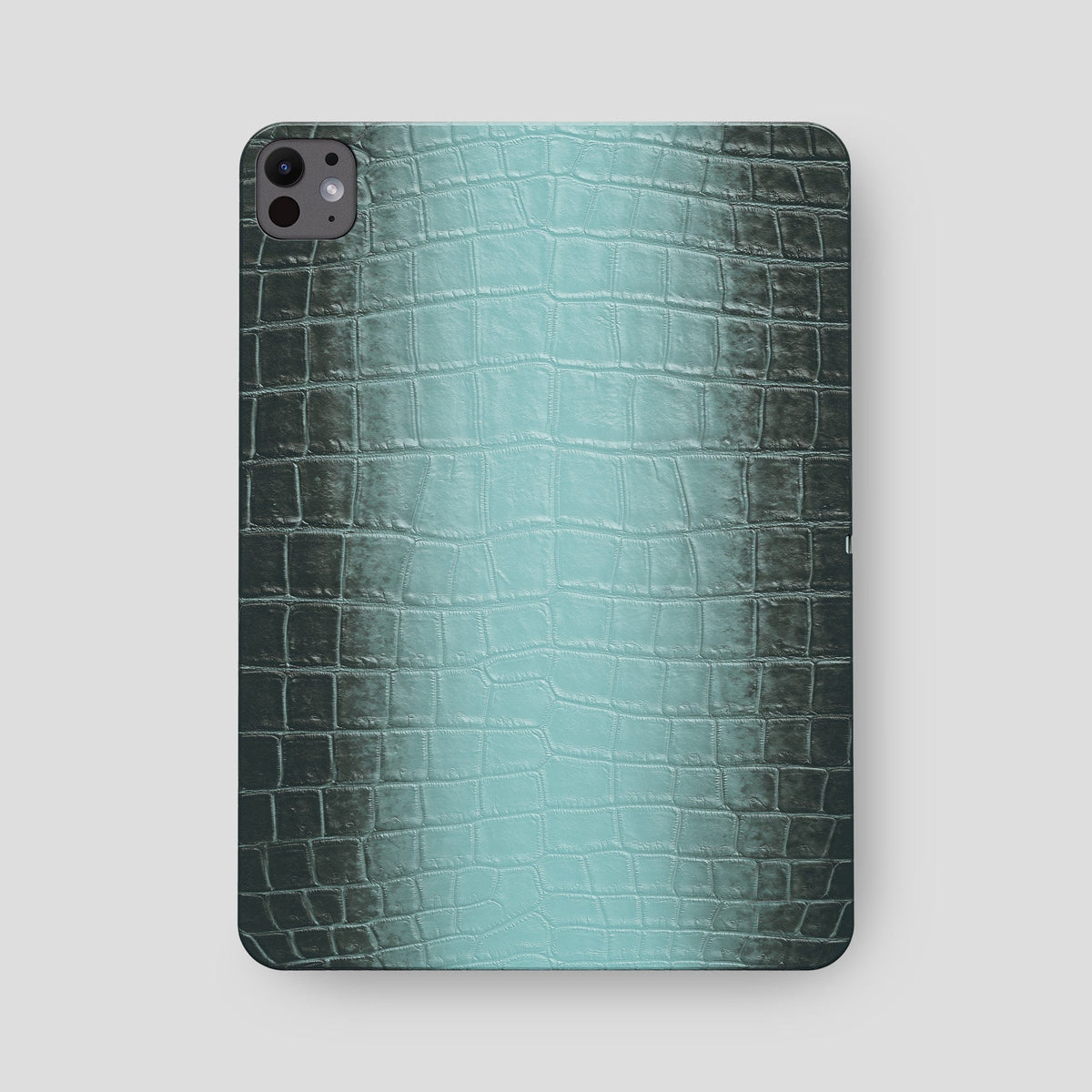 Light-Mint iPad Pro 13-inch Case Himalayan Crocodile -2 | Light-Mint