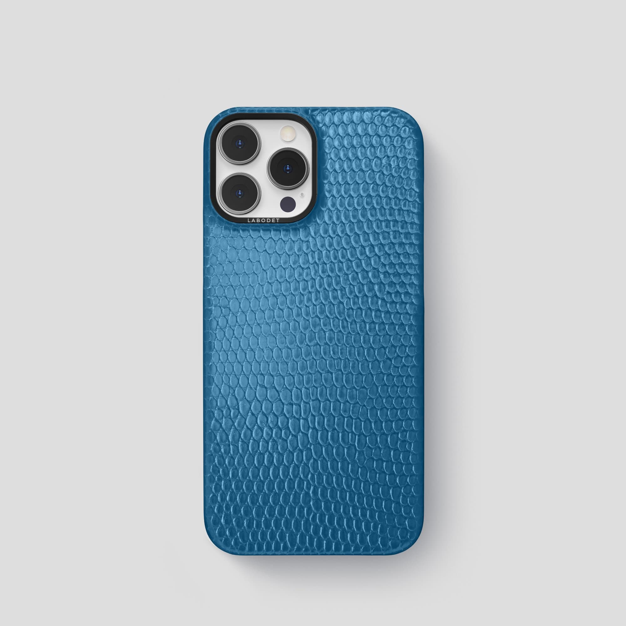 Classic Case For iPhone 15 Pro In Lizard · Labodet
