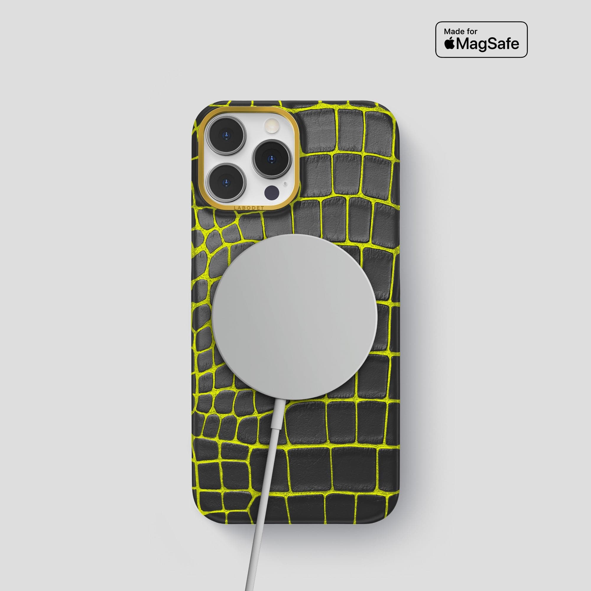 Classic Case For iPhone 15 Pro In Luminescent Alligator · Labodet