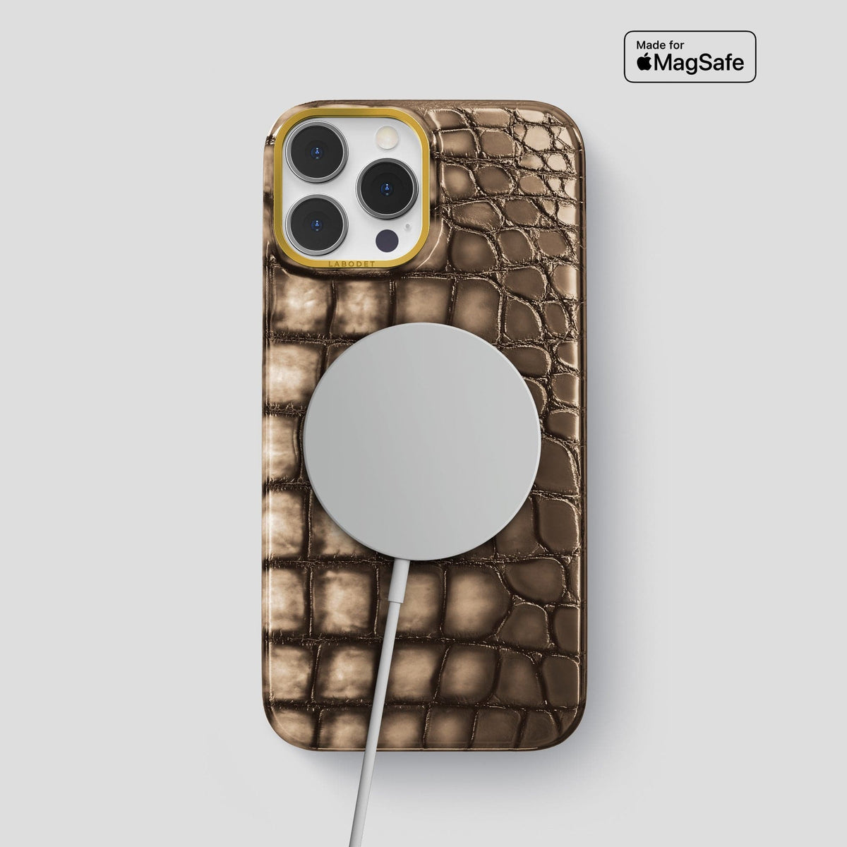 Etoupe iPhone 15 Pro Max Classic Case Patina Alligator with Gold Metal -5 | Etoupe-Gold