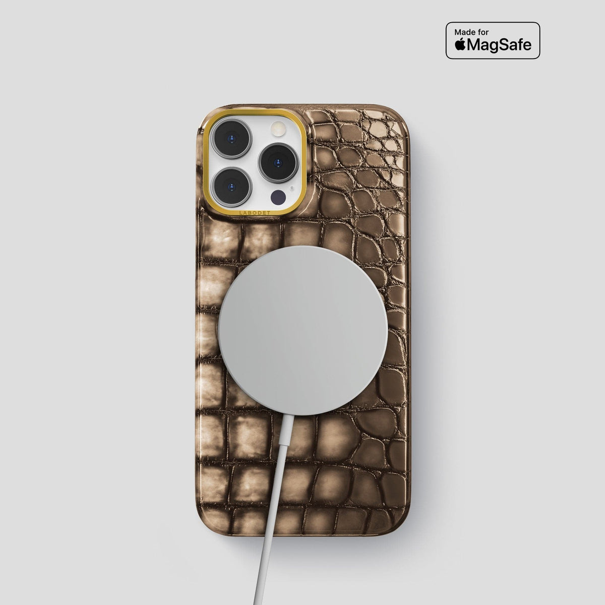 Etoupe iPhone 15 Pro Classic Case Patina Alligator with Gold Metal -5 | Etoupe-Gold