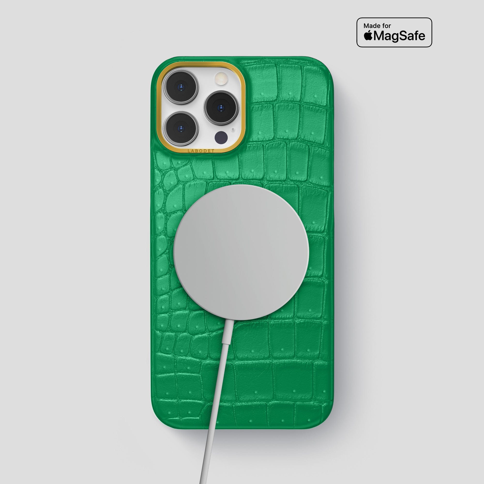 Classic Case For iPhone 15 Pro Max In Porosus Crocodile · Labodet