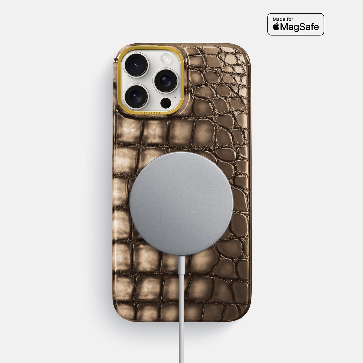 Etoupe iPhone 16 Pro Max Classic Case Patina Alligator with Gold Metal -5 | Etoupe-Gold