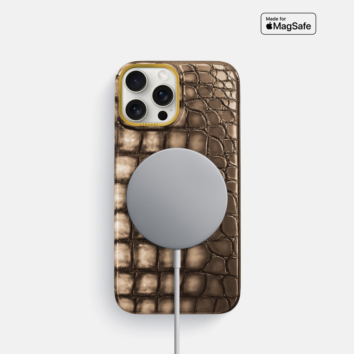 Etoupe iPhone 16 Pro Classic Case Patina Alligator with Gold Metal -5 | Etoupe-Gold