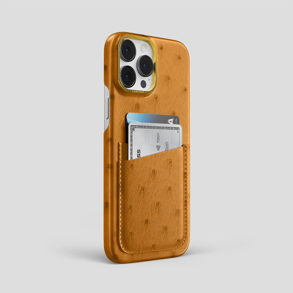 Chestnut iPhone 15 Pro Max Card Case Ostrich with Gold Metal -2 | Chestnut-Gold