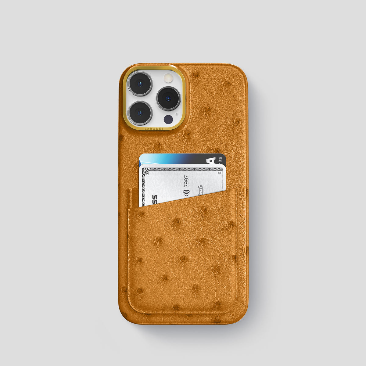 Chestnut iPhone 15 Pro Card Case Ostrich with Gold Metal -1 | Chestnut-Gold