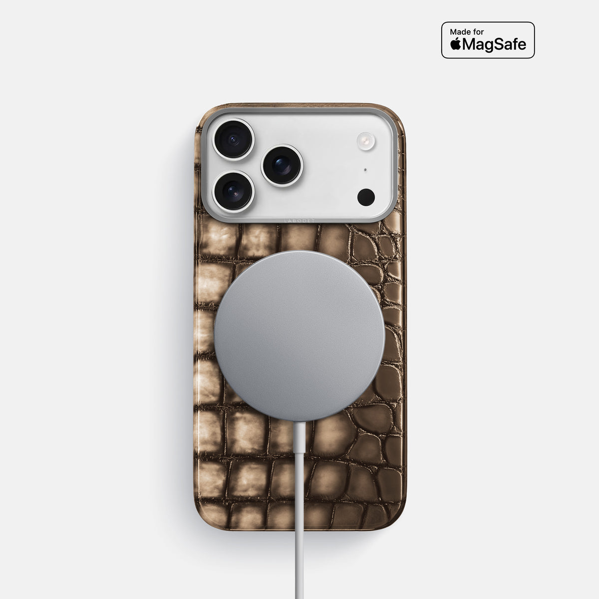 Classic Case For iPhone 17 Pro In Patina Alligator -5 | Etoupe-Steel