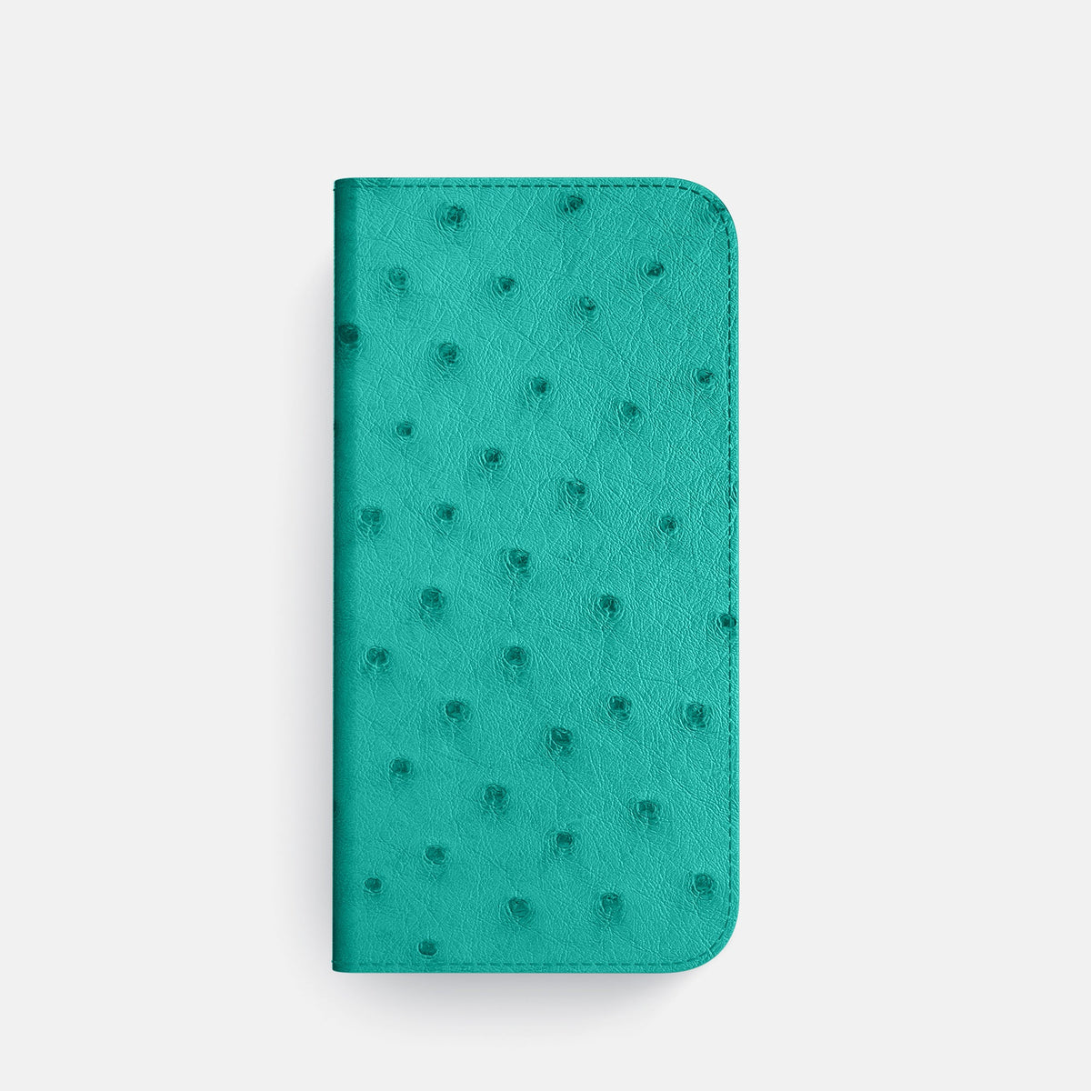 Folio Case with Card For iPhone 18 Pro In Ostrich -4 | Turquoise-Steel
