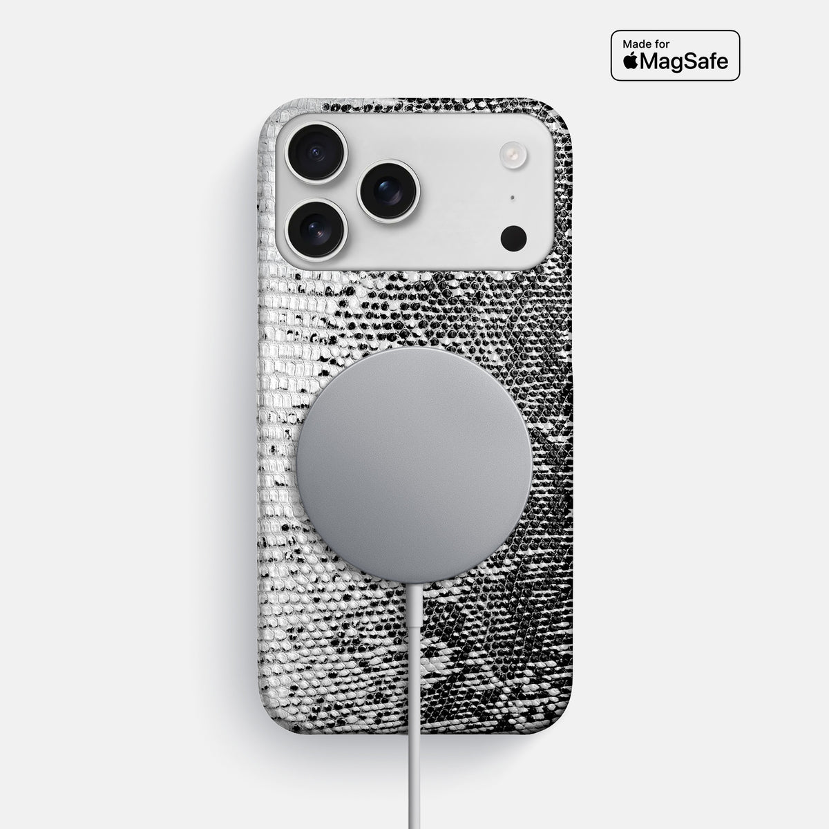 Slim Case For iPhone 17 Pro Max In Himalayan Lizard -5 | Dark