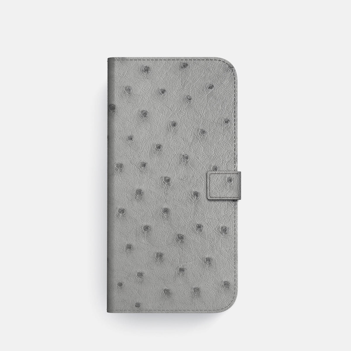 Folio Case with Clasp For iPhone 18 Pro In Ostrich -4 | Silver-Steel